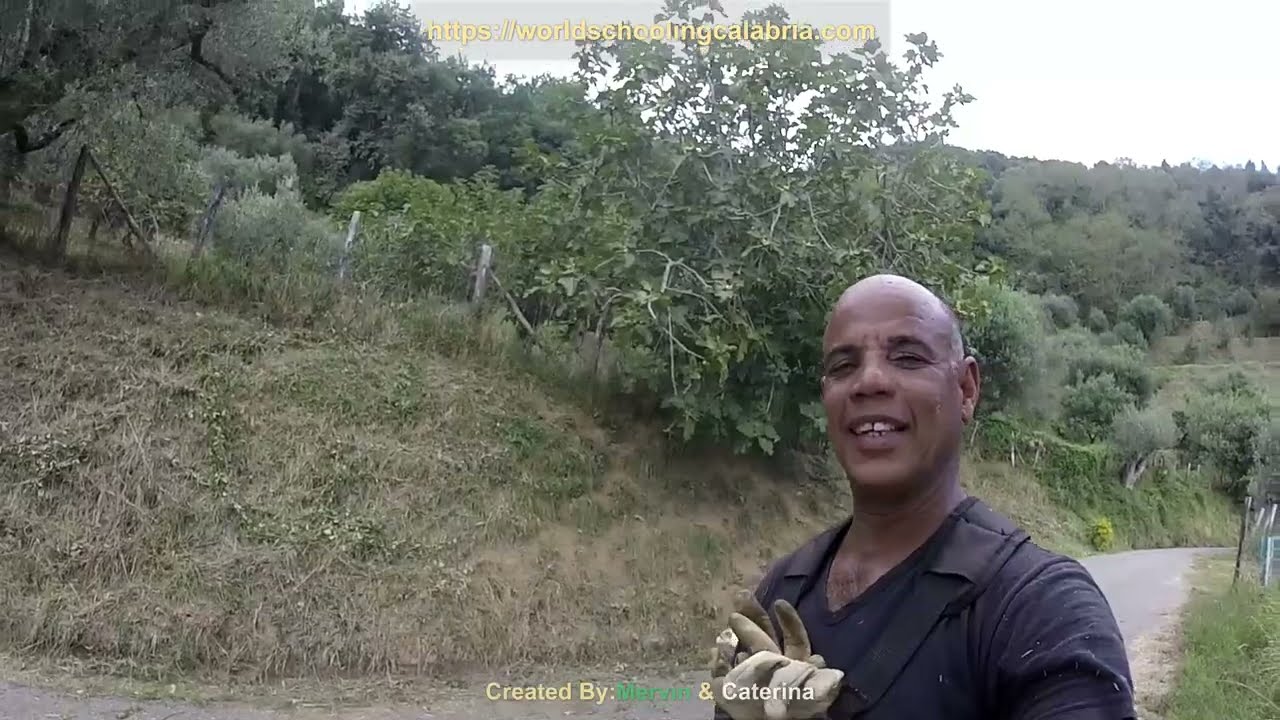 We’re Building Dalia’s Worldschooling Calabria Hub First Of It’s Kind In Calabria, Italy