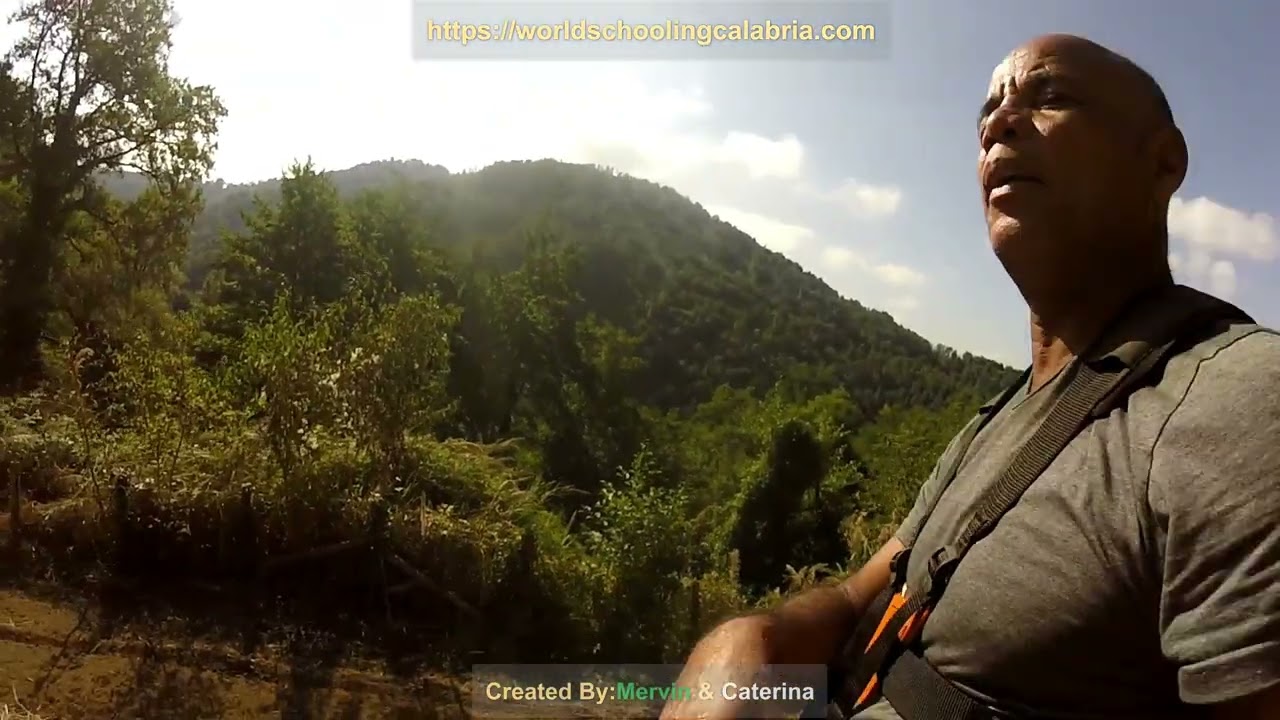 Join Dalia’s Star Gazing Lessons Activies For Worldschooling Families