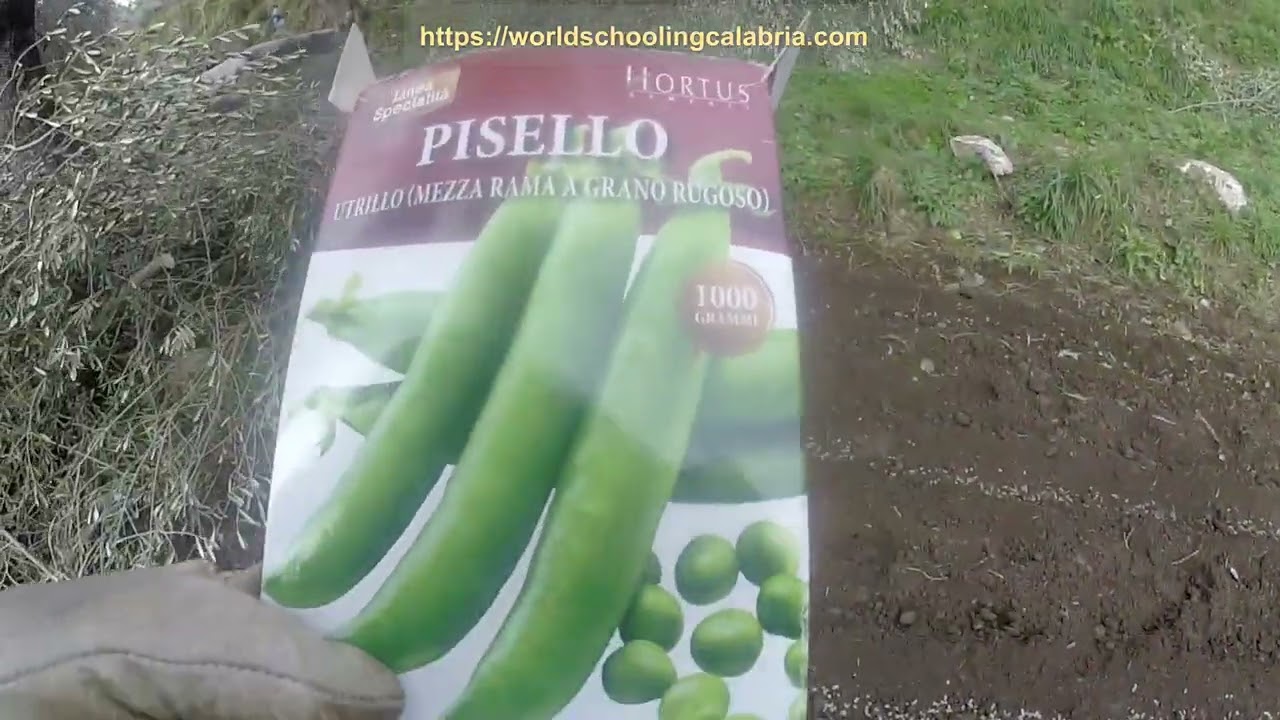 Watch Dalia’s Worldschooling Practice Self Suffciency As A Life Skill For Healthy Living